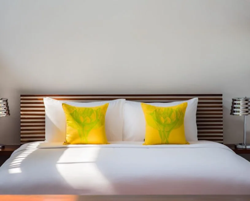 Sarus Crane Suite room at The Aviary Hotel