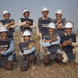 Apopo HeroRATs Are Trained To Save Lives